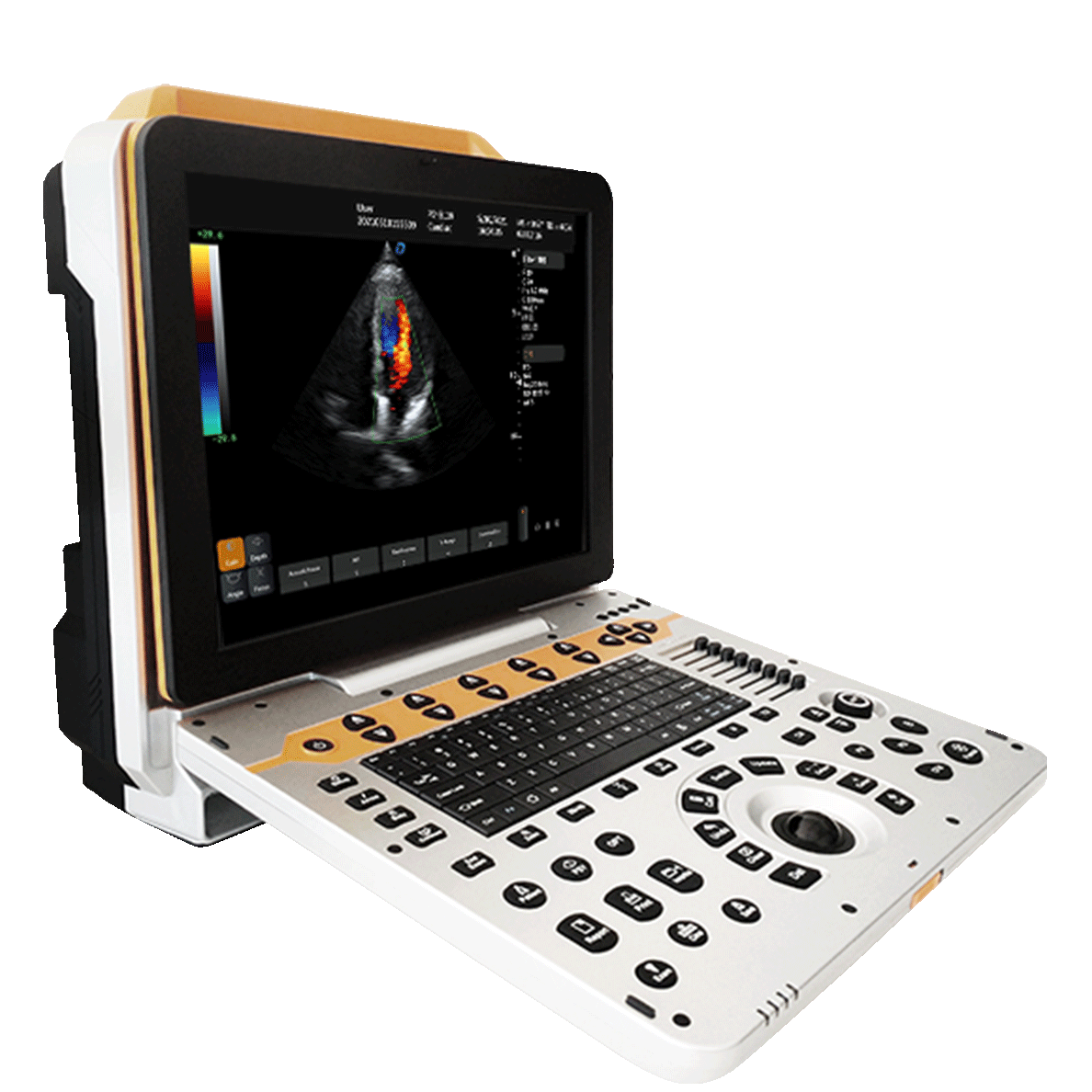 DW-P60